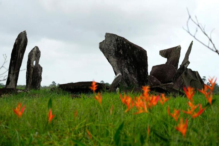 Archaeological Digs in Amazon Provide Clues About Indigenous Inhabitants Before Colonization