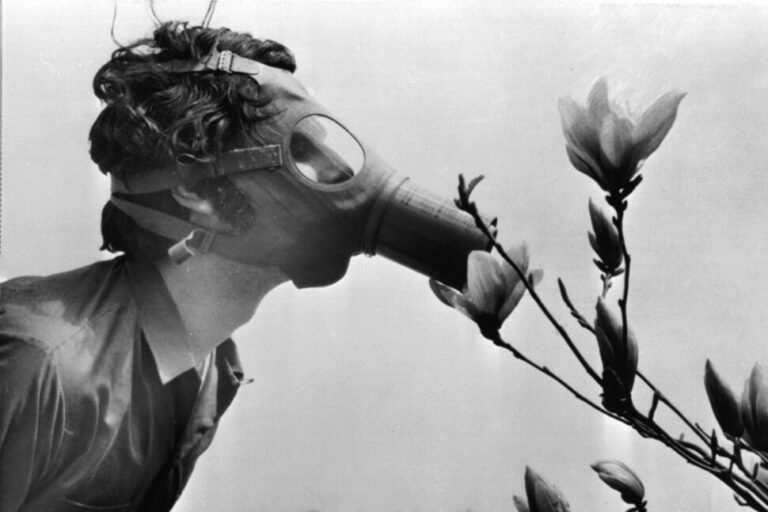 10 Things You Didn’t Know About Earth Day