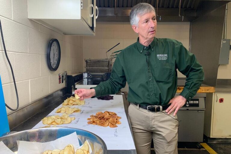 Researchers Have Spent Decades Breeding Better Potatoes for Chips, and Their Work Isn’t Done