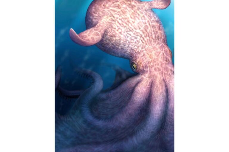 A Massive Kraken-Like Octopus May Have Prowled the Seas During the Age of Dinosaurs