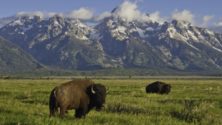 Congress, retailers want to rebuild national parks. Road tolls might pay