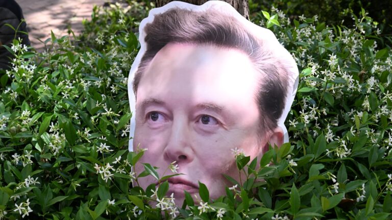 Elon Musk billionaire bill fans draw progressive challengers in Delaware