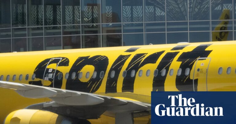 Spirit Airlines ceases operations and US transportation secretary announces measures to help passengers | Business