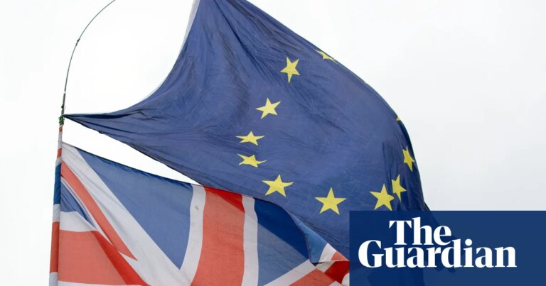 UK pitched single market for goods with EU in pursuit of deeper trade ties | Brexit