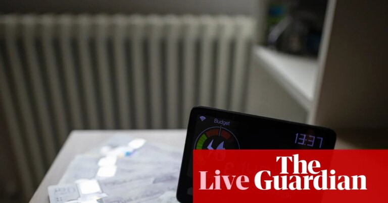 Energy bills to grow by more than £200 a year for millions as Ofgem increases price cap – business live | Business