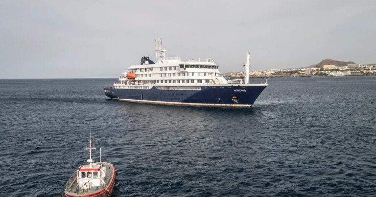 WHO director says he will personally oversee hantavirus cruise evacuation
