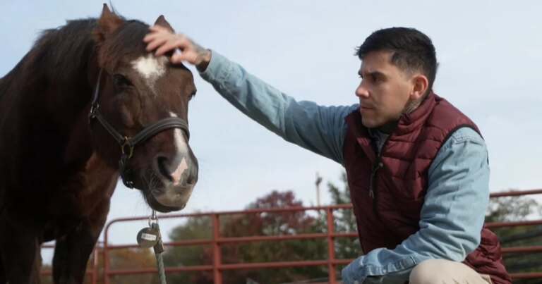 Horsepower: How horses are therapeutic