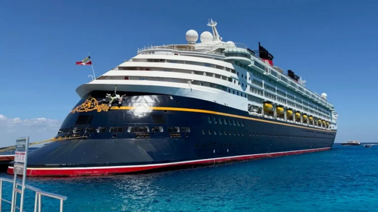 Authorities Revokes Cruise Ship Worker Visas Over Child Sexual Abuse Material