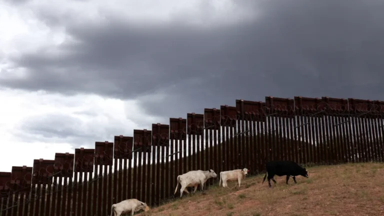 Customs and Border Protection Seizes Historic Level of Fentanyl