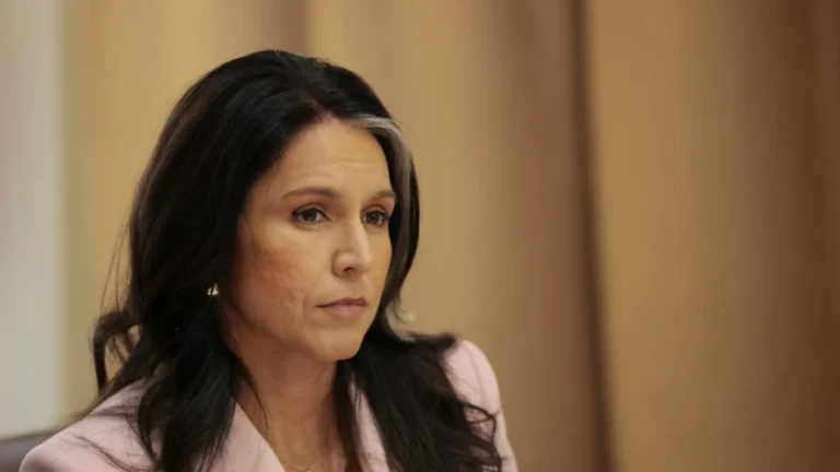 ODNI Says It’s Investigating Allegations CIA Spied on Gabbard Task Force