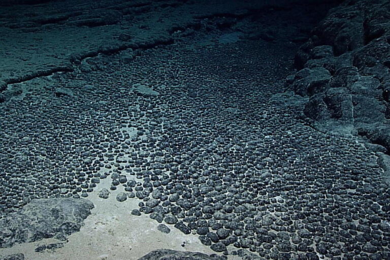 Takeaways From AP’s Report on Deep-Sea Mining
