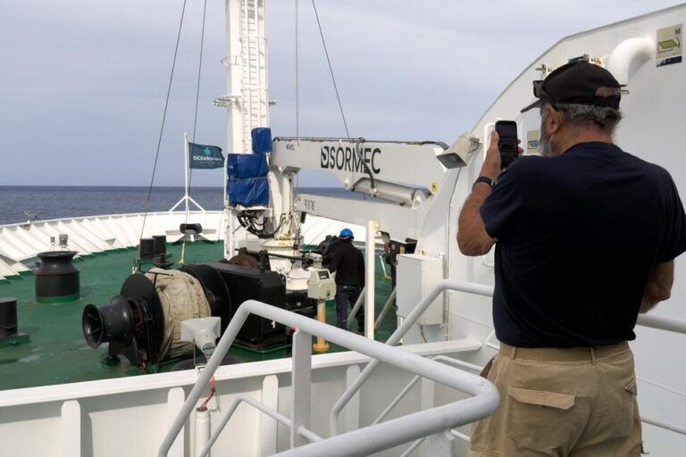 WHO Head Will Oversee Evacuation of Passengers, Crew From Hantavirus-Stricken Cruise Ship