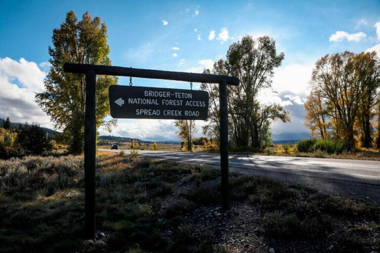 Do Jackson Hole’s Busiest Trails Create a Wildlife ‘Sacrifice Zone’? Study Finds Coexistence.
