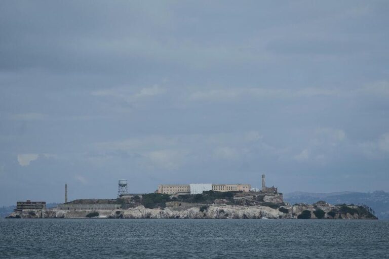 Male Coyote Swam 2 Miles to Alcatraz Island, Twice as Far as Biologists Had Expected