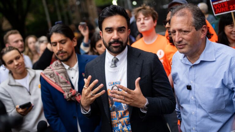 New York Democrats backed by Mamdani win House primaries