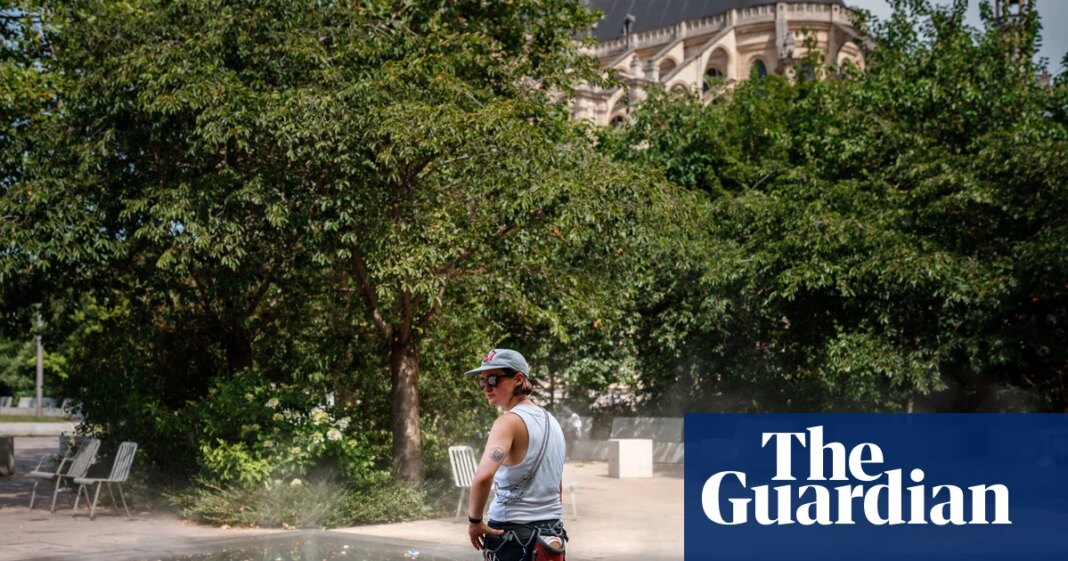 Europe’s heatwave drives electricity prices to new highs as demand soars | Energy industry