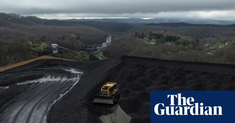 Trump uses wartime powers to dole out $700m to ‘clean, beautiful’ coal | Donald Trump