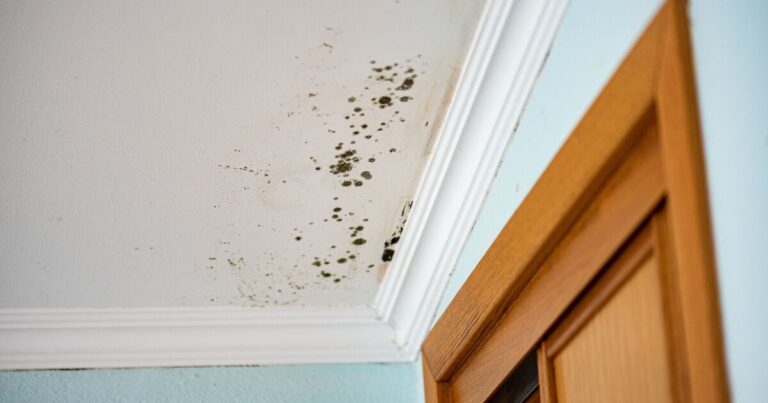 Landlords who fail to fix dangerous problems face fines of up to £7,000 | Personal Finance | Finance