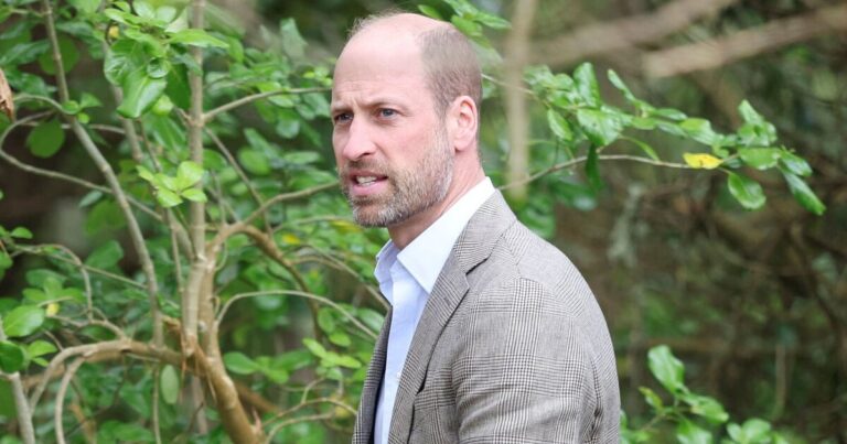 ‘Real’ reason Prince William has refused to meet Prince Harry | Royal | News