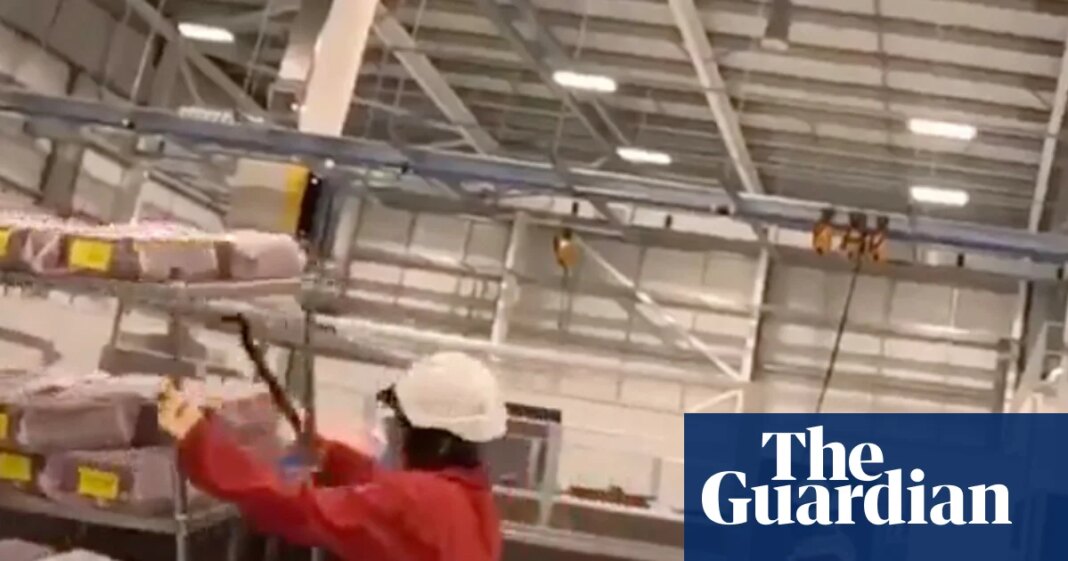 Pro-Palestine activists sentenced as terrorists over damage at Israeli arms factory in UK | Palestine Action