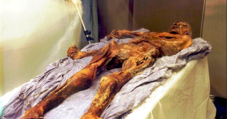 Scientists find yeast in frozen mummy’s guts, use it to make sourdough bread