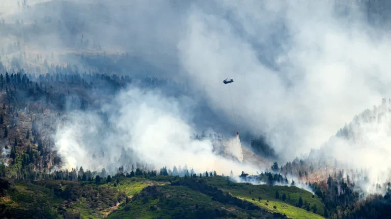 3 Firefighters Killed, 2 Injured While Tackling Wildfires on Colorado-Utah Border