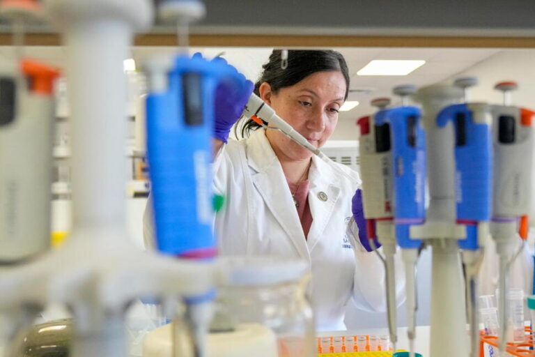 Tools to Fight Hantavirus Show Promise Despite Limited Funding. Now Researchers Hope to Continue