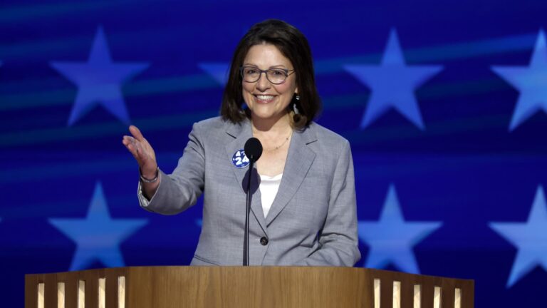 DCCC’s DelBene says Dems have momentum