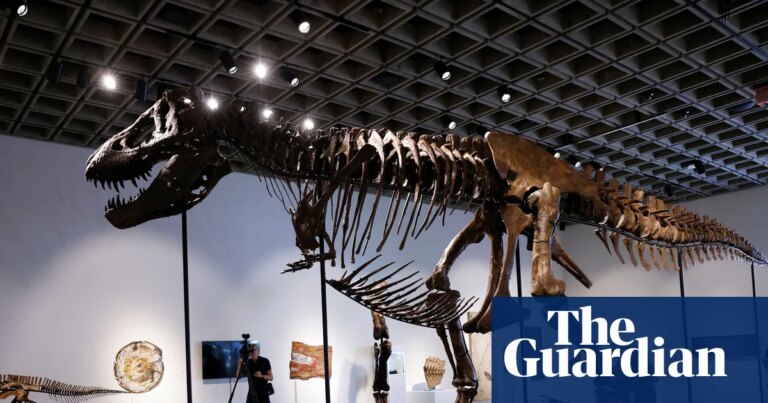 T rex fossil ‘Gus’ sells for $50.1m at New York auction, setting new record | New York