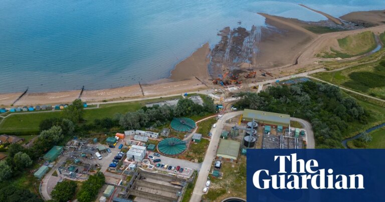 Ex-Southern Water boss to face trial over allegedly manipulating sewage testing | UK news