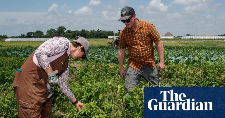 ‘A slap in the face’: small farmers say Trump is turning his back on them | Farming