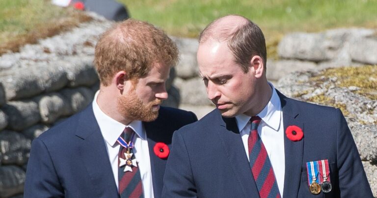 Royal Family RECAP: Prince William told to see Prince Harry on forthcoming trip | Royal | News
