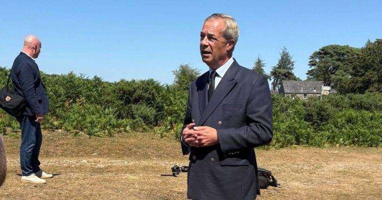 Nigel Farage major security update after Ann Widdecombe’s ‘murder’ | UK | News