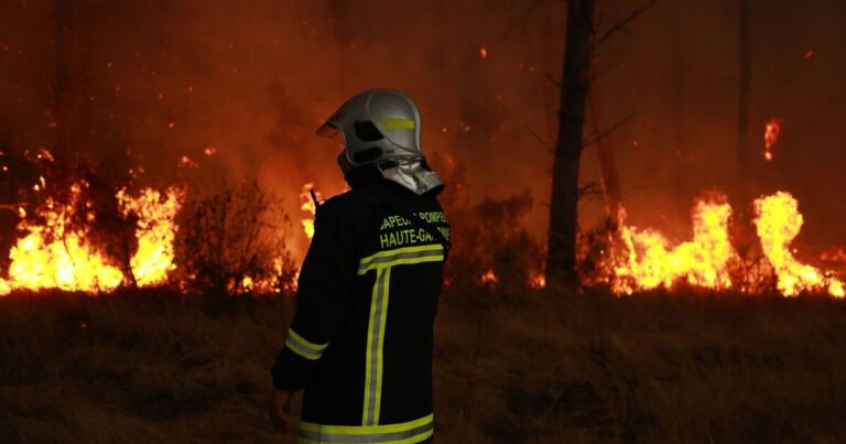 Gironde wildfire LIVE: Bordeaux Airport evacuates hotel zone as flames threaten city | World | News