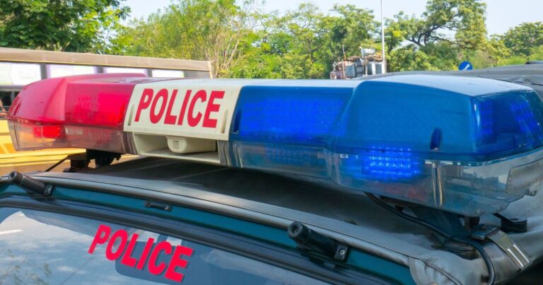 Horror as woman, 25, gang raped while her husband is tied to a tree | World | News