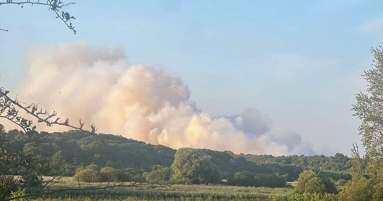 Suffolk wildfire live: Evacuation amid major incident as blaze rages near Sizewell B | UK | News