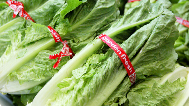 Trump Jokingly Threatens to Impose Tariff on Mexico Due to Lettuce Linked to Cyclospora Outbreak