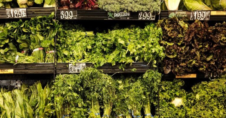 CDC looking into several items potentially linked to cyclospora parasite