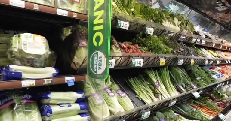 FDA identifies likely source of lettuce containing diarrhea-causing parasite