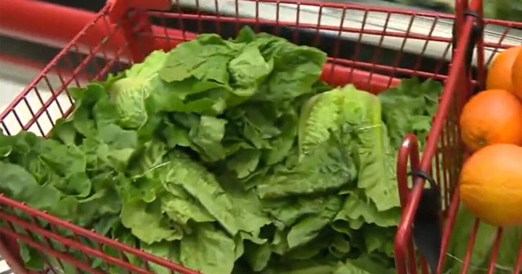 How Trump admin cuts have compromised food safety