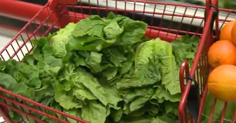 How Trump admin cuts have compromised food safety