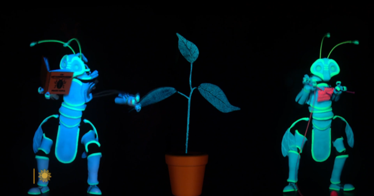 How plants feel – CBS News