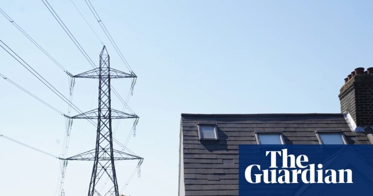 Households near new pylons to get £250 taken off annual energy bills | Energy industry