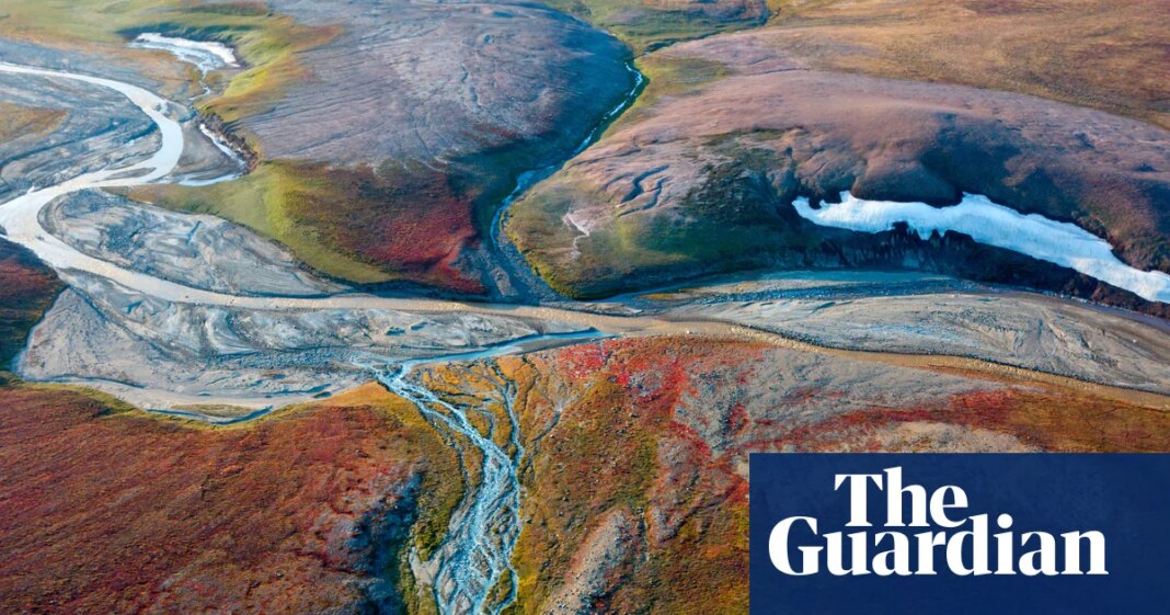Greenland forces Trump-linked US oil firm to delay drilling | Greenland