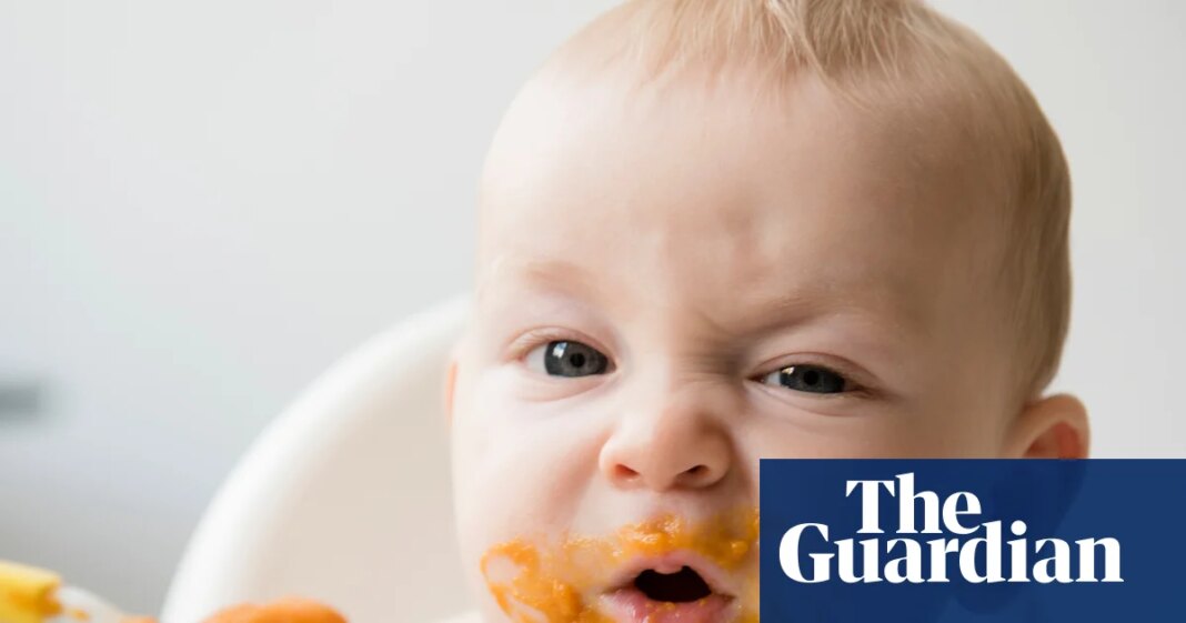 Quarter of branded baby foods in UK still have too much sugar, analysis finds | Children’s health