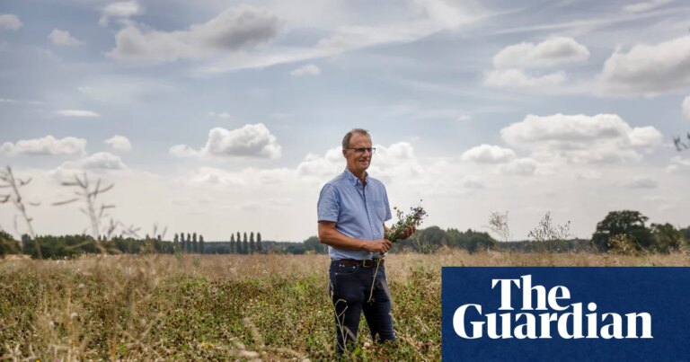 ‘Worst we’ve known’: UK turns to imports as drought and heat hit vegetable crops | Food & drink industry