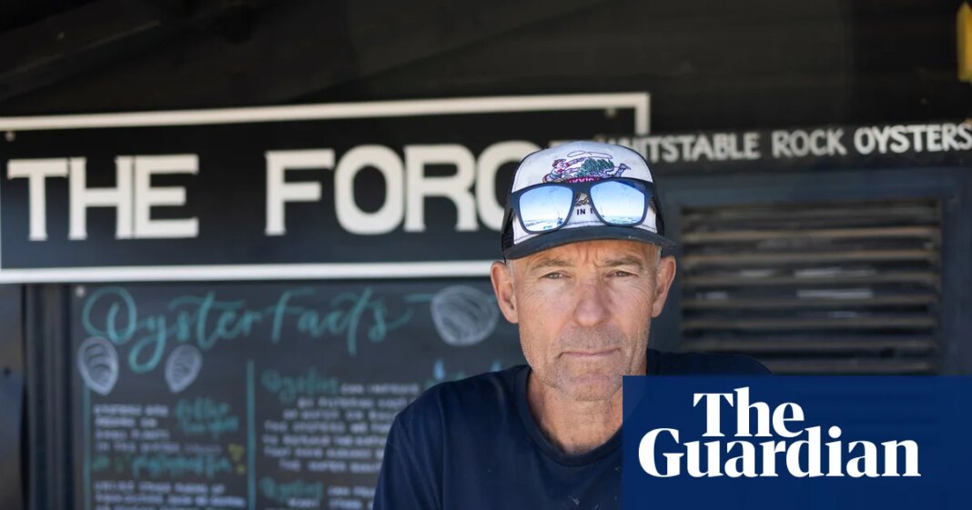 ‘Why did it become personal?’: furore over plans to expand Kent oyster shack | Kent