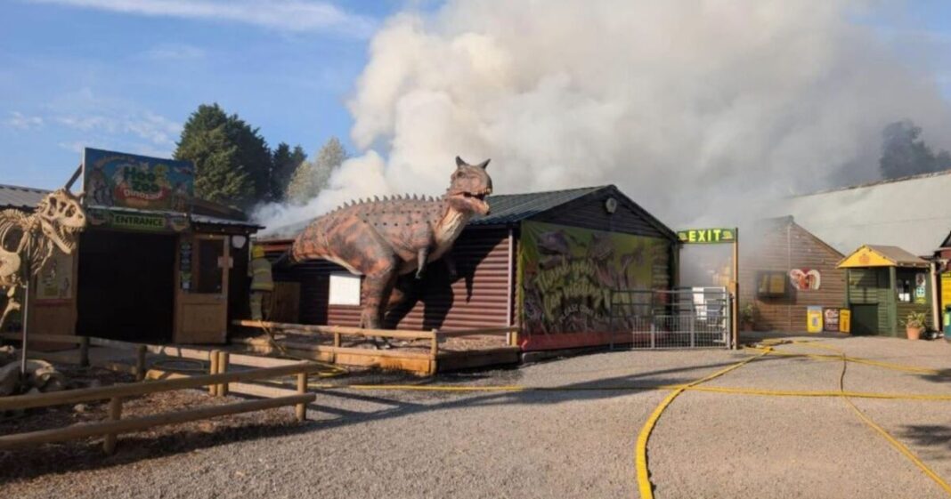 Hoo Zoo and Dinosaur World fire: Animals killed with owner ‘absolutely devastated’ | UK | News