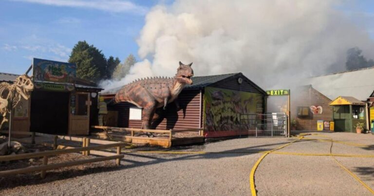 Hoo Zoo and Dinosaur World fire: Animals killed with owner ‘absolutely devastated’ | UK | News