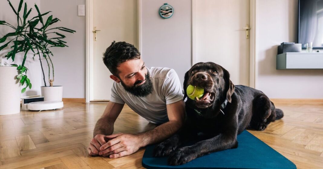 Dog owners hit with hidden £145.90 fee each year | Personal Finance | Finance